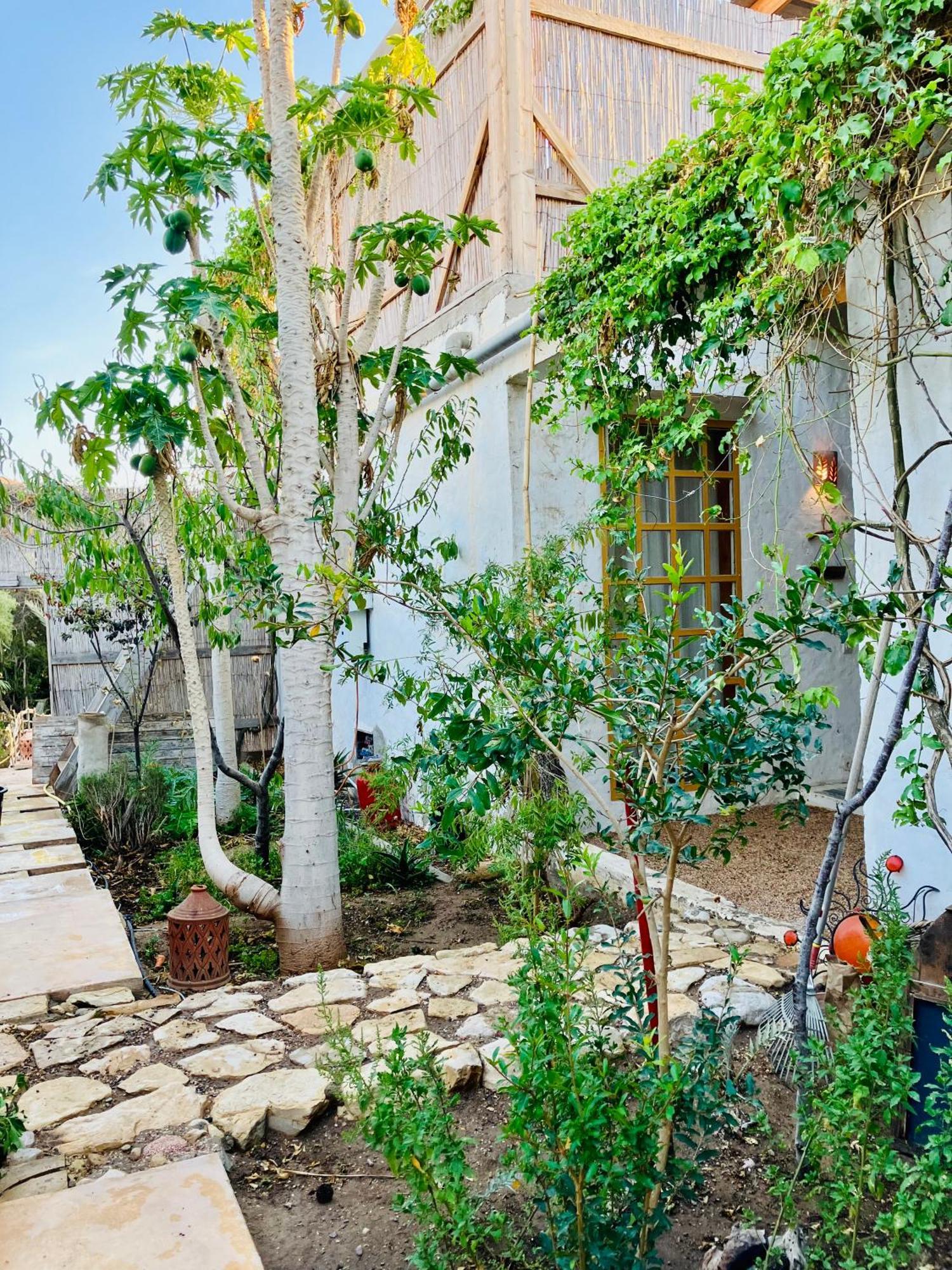 Paradise Guest House Агадир Екстериор снимка